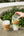Brew Cork Quicksip - 16oz