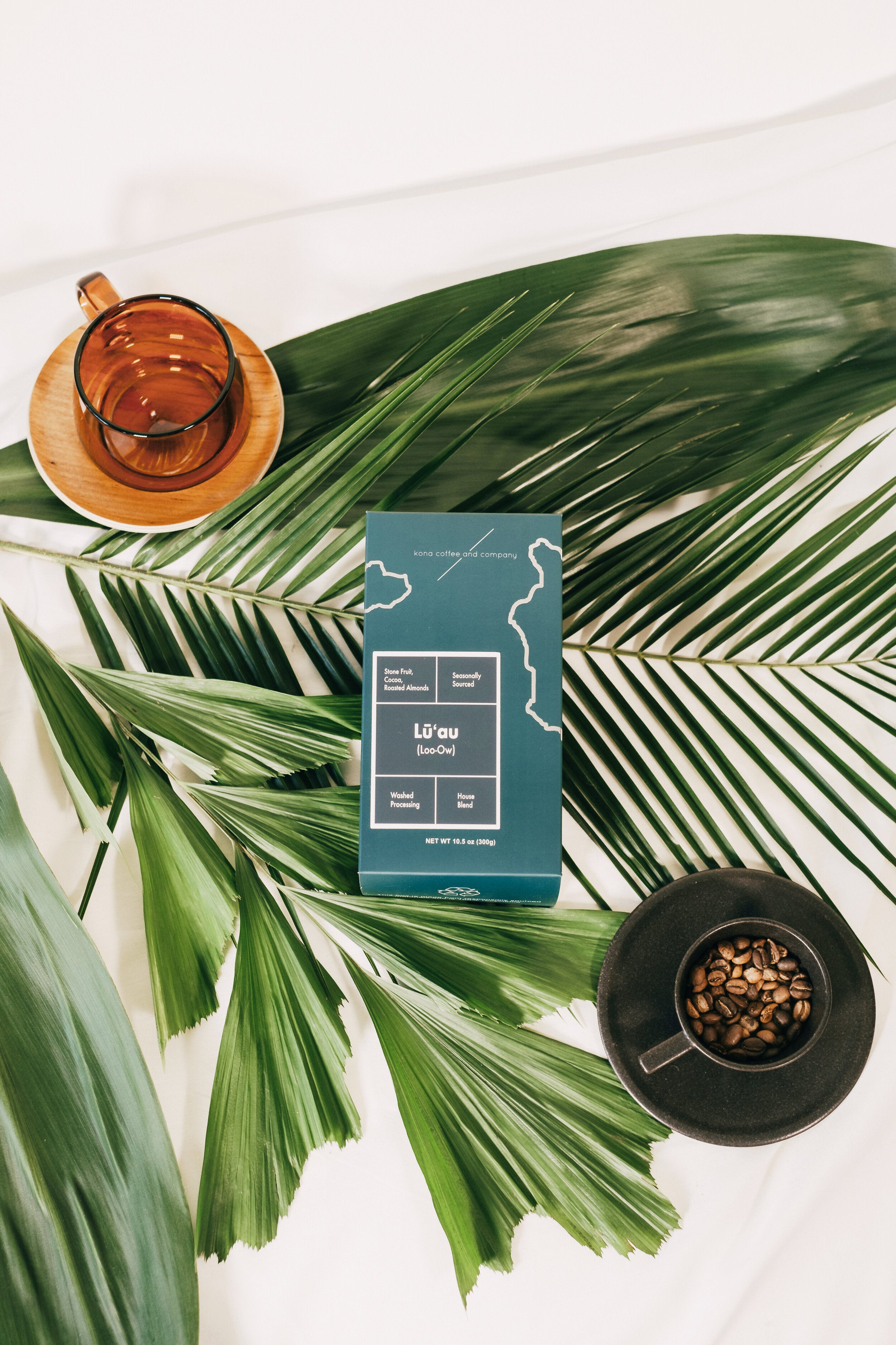 KALITA Wave 185 Stainless Steel Coffee Dripper – Kona Coffee